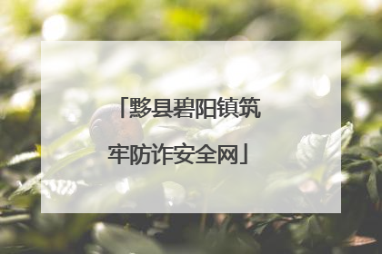 黟县碧阳镇筑牢防诈安全网