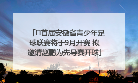 ﻿首届安徽省青少年足球联赛将于9月开赛 拟邀请赵鹏为先导赛开球