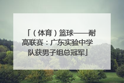 （体育）篮球——耐高联赛：广东实验中学队获男子组总冠军