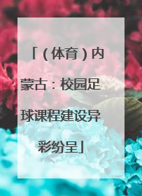 （体育）内蒙古：校园足球课程建设异彩纷呈