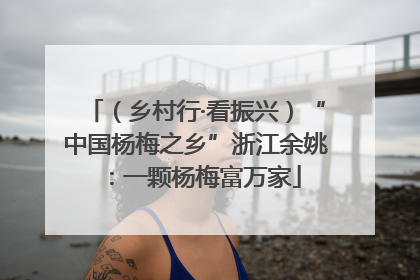 （乡村行·看振兴）“中国杨梅之乡”浙江余姚：一颗杨梅富万家