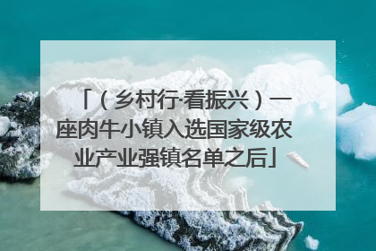 （乡村行·看振兴）一座肉牛小镇入选国家级农业产业强镇名单之后
