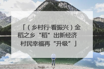 （乡村行·看振兴）金稻之乡“稻”出新经济 村民幸福再“升级”