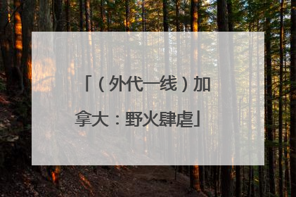 （外代一线）加拿大：野火肆虐