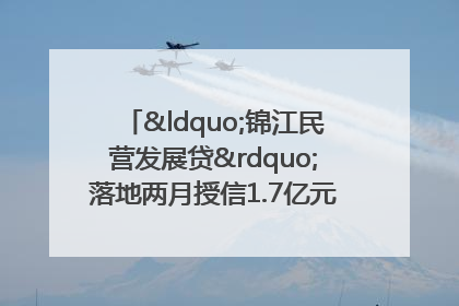 “锦江民营发展贷”落地两月授信1.7亿元，惠及118家民企