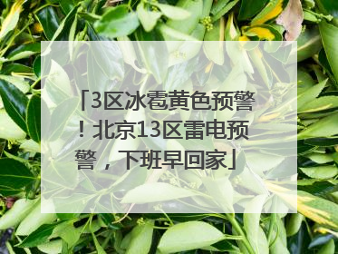 3区冰雹黄色预警！北京13区雷电预警，下班早回家