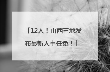 12人！山西三地发布最新人事任免！