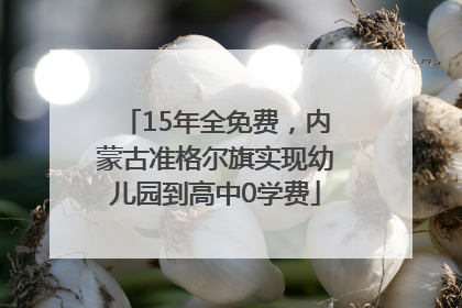 15年全免费，内蒙古准格尔旗实现幼儿园到高中0学费
