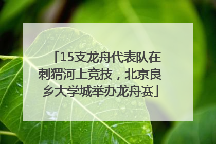 15支龙舟代表队在刺猬河上竞技，北京良乡大学城举办龙舟赛