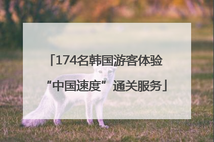 174名韩国游客体验“中国速度”通关服务