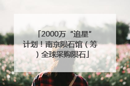 2000万“追星”计划！南京陨石馆（筹）全球采购陨石