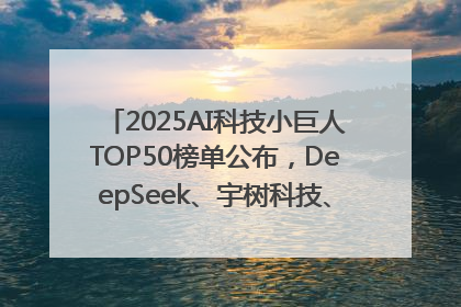 2025AI科技小巨人TOP50榜单公布，DeepSeek、宇树科技、蘑菇车联等企业荣誉上榜