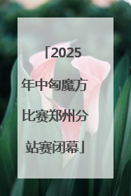 2025年中匈魔方比赛郑州分站赛闭幕