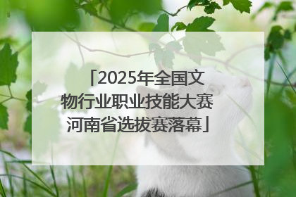 2025年全国文物行业职业技能大赛河南省选拔赛落幕