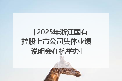 2025年浙江国有控股上市公司集体业绩说明会在杭举办