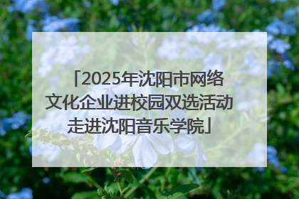2025年沈阳市网络文化企业进校园双选活动走进沈阳音乐学院