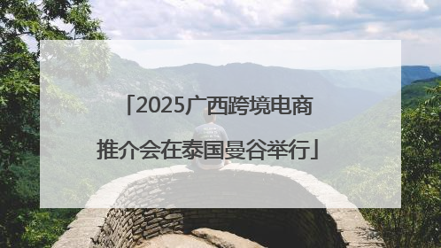 2025广西跨境电商推介会在泰国曼谷举行