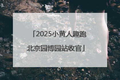 2025小黄人趣跑北京园博园站收官