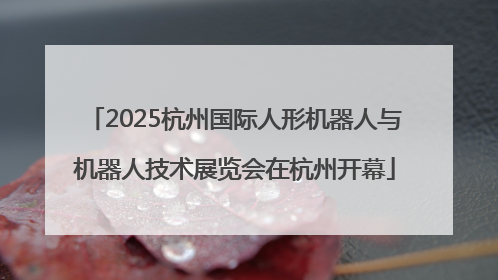 2025杭州国际人形机器人与机器人技术展览会在杭州开幕