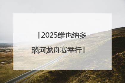 2025维也纳多瑙河龙舟赛举行