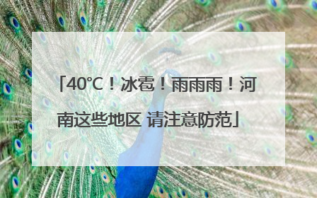 40℃！冰雹！雨雨雨！河南这些地区 请注意防范