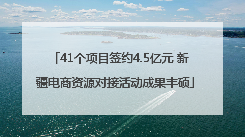 41个项目签约4.5亿元 新疆电商资源对接活动成果丰硕