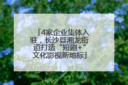 4家企业集体入驻，长沙县湘龙街道打造“短剧+”文化影视新地标