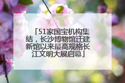 51家国宝机构集结，长沙博物馆迁建新馆以来最高规格长江文明大展启幕