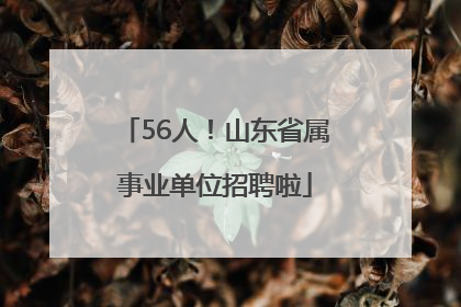 56人！山东省属事业单位招聘啦
