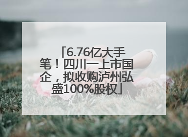 6.76亿大手笔！四川一上市国企，拟收购泸州弘盛100%股权