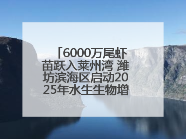 6000万尾虾苗跃入莱州湾 潍坊滨海区启动2025年水生生物增殖放流工作