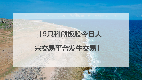 9只科创板股今日大宗交易平台发生交易