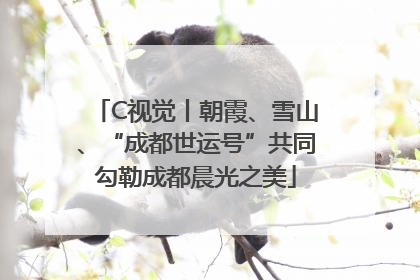 C视觉丨朝霞、雪山、“成都世运号”共同勾勒成都晨光之美