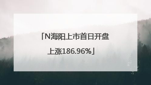 N海阳上市首日开盘上涨186.96%