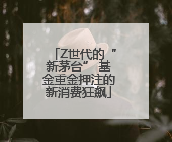 Z世代的“新茅台” 基金重金押注的新消费狂飙
